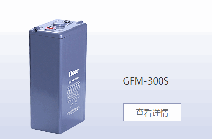 GFM-300S